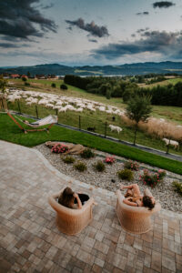 Relaks z widokiem na owce i naturę